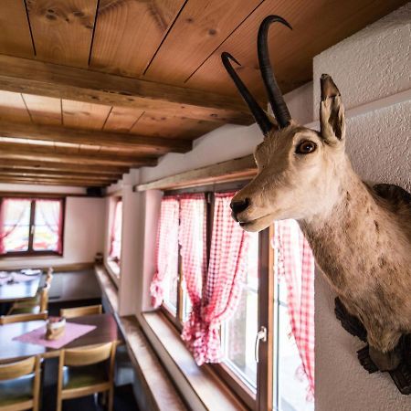 Berggasthaus Piz Calmot Andermatt Exterior foto
